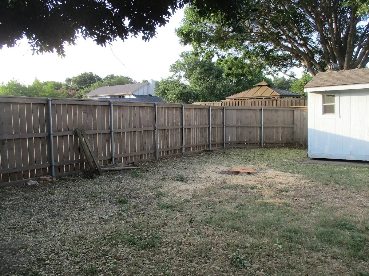 Cleared yard after professional tree removal in Brent